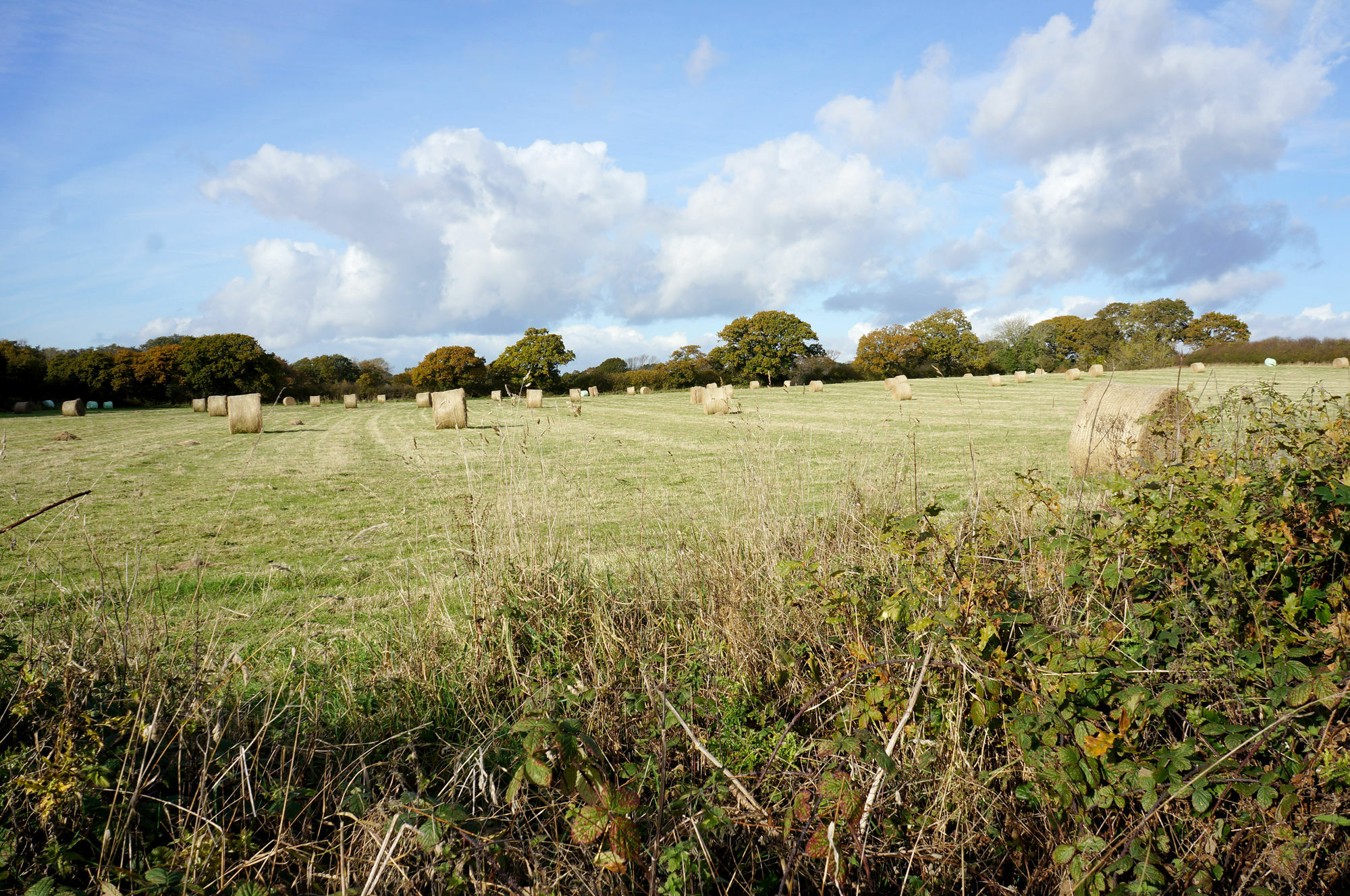Leyland Country House Lymington Dış mekan fotoğraf